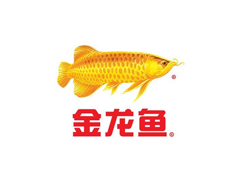 金龙鱼食用油